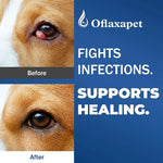 Dog Eye Drops | Dog Eye Infection Treatment | Flush Irritants &amp; Reduce Redness, Watering &amp; Discharge | Sterile Solution with Easy | Apply Dropper for Daily Use | 0.68 fl oz (20 mL)
