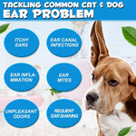 Ear Infection Treatment Drops for Dogs and Cats,with 1% Hydrocortisone Soothing Dog Yeast Infection, Itchy Ear Relief-Treats Ear Infections for Dogs &amp; Cats - 2 fl oz