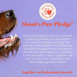 SKOUT'S HONOR Fresher Breath Water Additive for Dogs and Cats, 32 oz