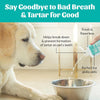 SKOUT'S HONOR Fresher Breath Water Additive for Dogs and Cats, 16 oz