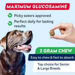 STRELLALAB Advanced Glucosamine for Dogs, Collagen&amp;Green Lipped Mussel