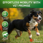 Hemp Hip and Joint Support Supplement for Dogs - Glucosamine for Dogs