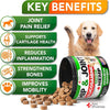 Hemp Hip and Joint Support Supplement for Dogs - Glucosamine for Dogs
