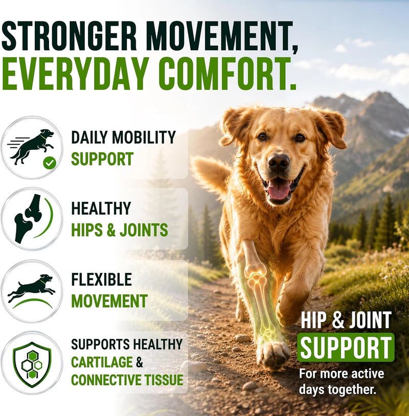Glucosamine Hip &amp; Joint Supplement for Dogs - Chews with Chondroitin &amp; MSM