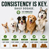 Glucosamine Hip &amp; Joint Supplement for Dogs - Chews with Chondroitin &amp; MSM