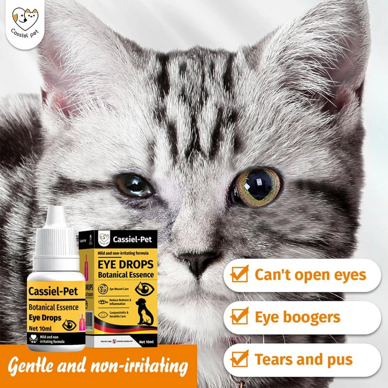 Eye Drops for Eye Infection Treatment, Soothe Infection Allergy, Relieve Dry Eyes &amp; Red Eye，Eye Cleaner and Tear Stain Remover for Dogs and Cats | 10 ml 0.33 FL OZ (1 Bottle)