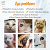 Eye Drops for Eye Infection Treatment, Soothe Infection Allergy, Relieve Dry Eyes &amp; Red Eye，Eye Cleaner and Tear Stain Remover for Dogs and Cats | 10 ml 0.33 FL OZ (1 Bottle)