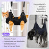 PatiencET Cat Grooming Hammock Kit