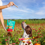 ARK NATURALS Breath Bursts Peppermint Dog Dental Treats, Large Breed (6 oz)