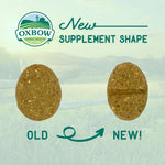 Oxbow Natural Science Joint Supplement for Rabbits &amp; Guinea Pigs, 4.2 oz