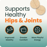 VetriScience Extra Strength Healthy Hip &amp; Joint for Dogs, Chicken, 120ct