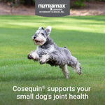 Nutramax Cosequin Small Dog Joint Supplement, Soft Chews, 45ct