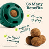 WOOF Hip &amp; Joint Pupsicle Refill Pops - Dog Supplement for the Pupsicle Toy to Support Joint Health, Recovery, and Mobility - Large Pops