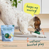 WOOF Hip &amp; Joint Pupsicle Refill Pops - Dog Supplement for the Pupsicle Toy to Support Joint Health, Recovery, and Mobility - Large Pops