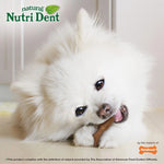 Nylabone Nutri Dent Dog Dental Chews - Natural Dog Teeth Cleaning &amp; Breath Freshener - Dental Treats for Dogs - Filet Mignon Flavor, Mini (160 Count)