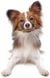 Nylabone Nutri Dent Dog Dental Chews - Natural Dog Teeth Cleaning &amp; Breath Freshener - Dental Treats for Dogs - Filet Mignon Flavor, Mini (160 Count)