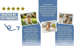 Dog Dental Spray Removes Tartar, Plaque and Freshens Breath Instantly. The Most Advanced Dental Spray for Healthy Teeth, Gums and Oral Health Care for Your Dog, Cat or Pet - 1-8 oz. Bottle