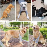 MANON ROSA Dog Elbow Pads – Knee Wrap Front Leg Sleeves for Large Dogs, Wound Protection &amp; Anti-Licking Brace for Injured Legs or Joints (Sleeve Length 11.4in, Suit. Wt 66-80lbs, X-Large, Gray)