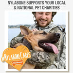 Nylabone Nutri Dent Dog Dental Treats, Filet Mignon Flavor, 40 Count